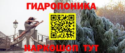 Альфа ПВП Донской