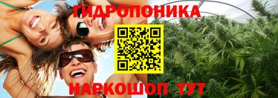 амф Дубна