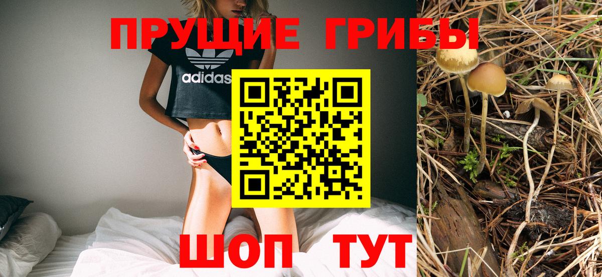 Галлюциногенные грибы Cubensis  Галлюциногенные грибы GOLDEN TEACHER  наркотики  Буйнакск  Вход с VPN 